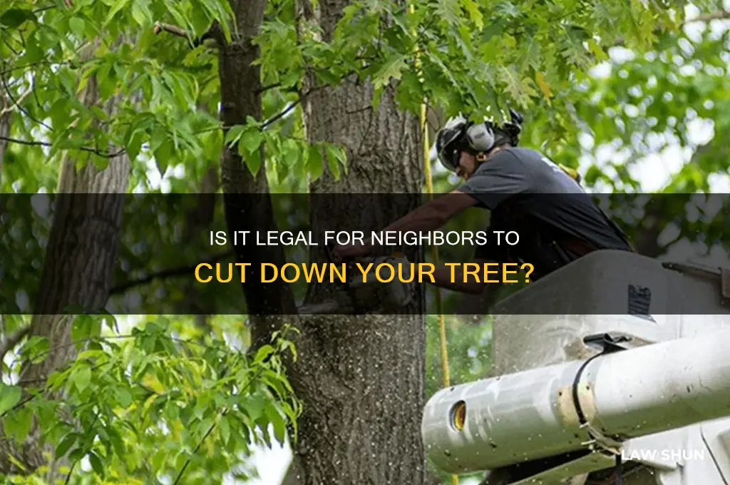 is it lawful for someone else to cut my tree