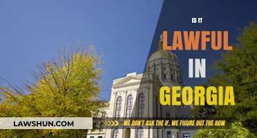 Is It Lawful in Georgia? Understanding State Laws and Regulations