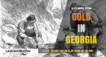 Is Gold Panning Legal in Georgia? Laws and Regulations Explained