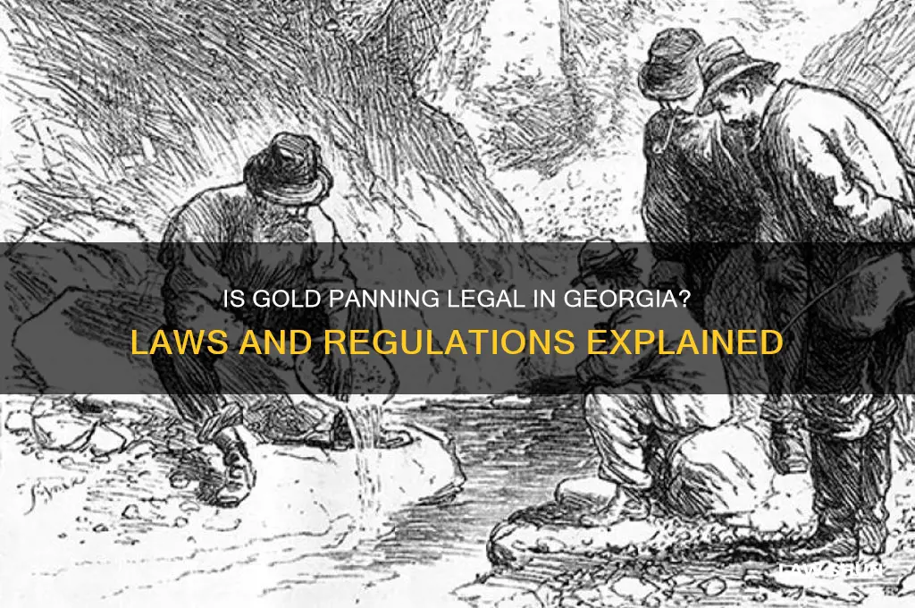 is it lawful ti pan gold in georgia