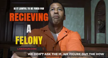 Can Employers Legally Terminate Employees with Felony Convictions?