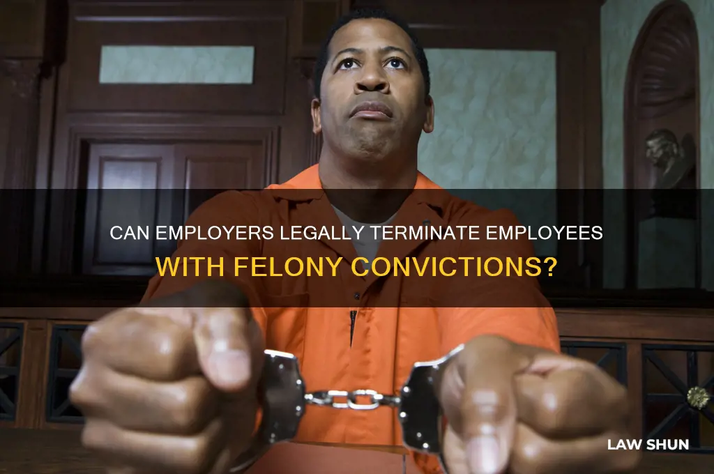 is it lawful to be fired for recieving a felony