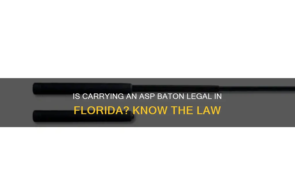 is it lawful to carrie a aps batton in fla