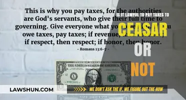 Paying Taxes: Jesus' Take on Lawful Submission