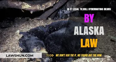 Alaska Law and Hibernation: Is Killing Bears Legal?