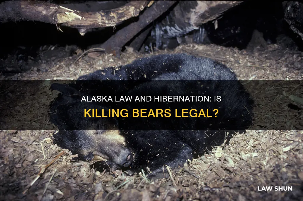 is it legal to kill hybernating bears by alaska law