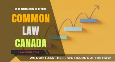 Common-Law Relationships: To Report or Not?