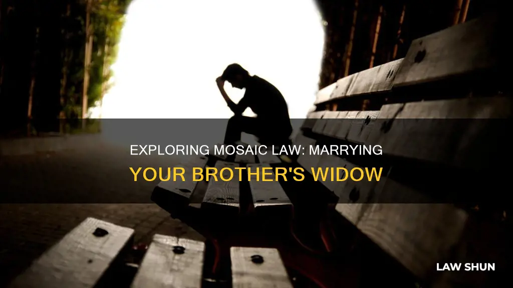 is it mosiac law that you marry your brother