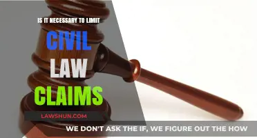Balancing Justice: The Debate on Limiting Civil Law Claims