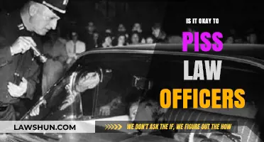 Is It Okay to Piss Off Law Officers? Legal and Ethical Insights