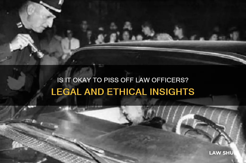 is it okay to piss law officers