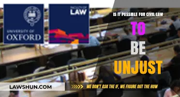 Can Civil Law Be Unjust? Exploring Legal Fairness and Equity