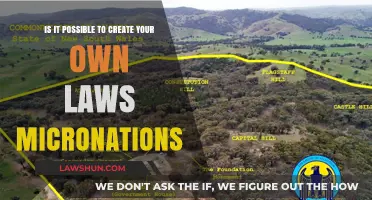Creating Laws in Micronations: Who Makes the Rules?
