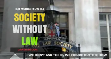 Can Society Function Without Laws? Exploring Order Beyond Legal Frameworks