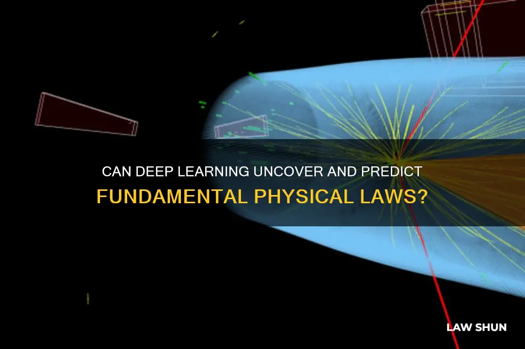 is it possible to predict physical laws by deep learning