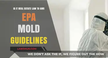 EPA Mold Guidelines: Are They Part of Real Estate Law?