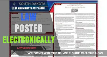 Electronic Labor Law Posters: Are They Legally Compliant Enough?