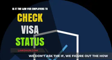 Employer Visa Verification: Legal Requirement or Optional Practice?