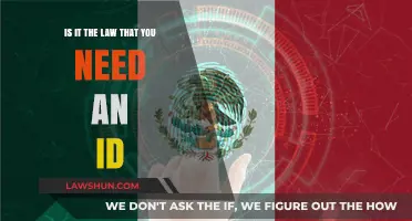 Do You Legally Need an ID? Understanding Identification Requirements
