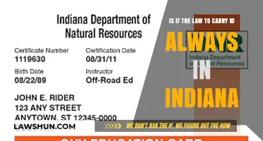 Indiana ID Laws: Must You Always Carry Identification?