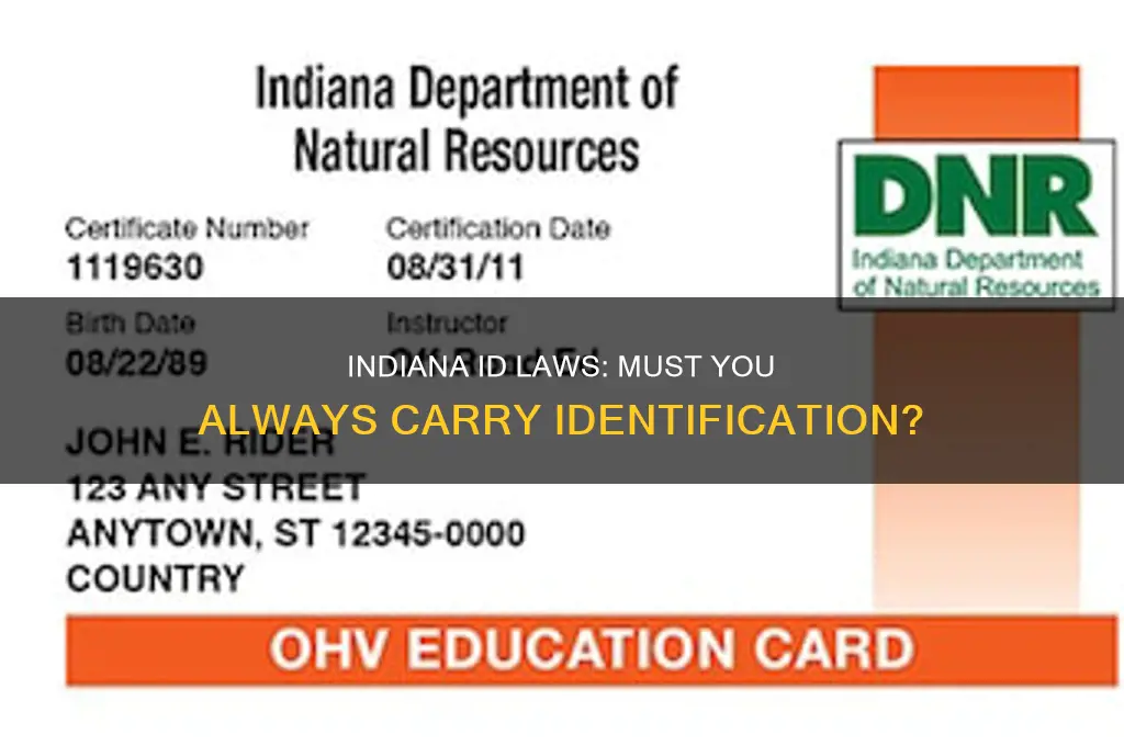 is it the law to carry id always in indiana