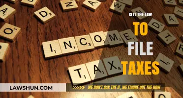 Filing Taxes: Legal Obligation or Voluntary Action?