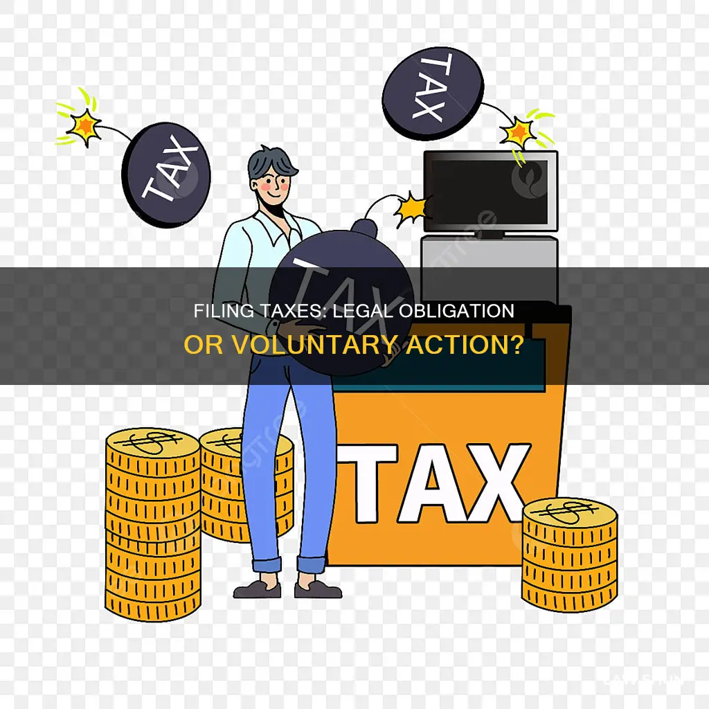 is it the law to file taxes