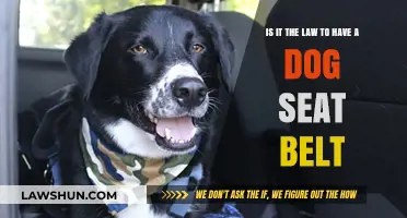 Dog Seat Belt Laws: Are They Mandatory for Pet Safety?