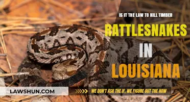 Is Killing Timber Rattlesnakes Legal in Louisiana? The Law Explained