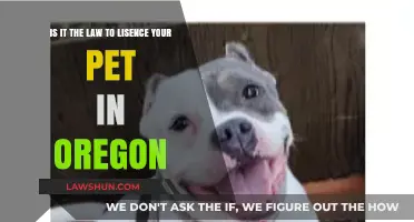 Oregon Pet Licensing: Legal Requirement or Optional Choice?