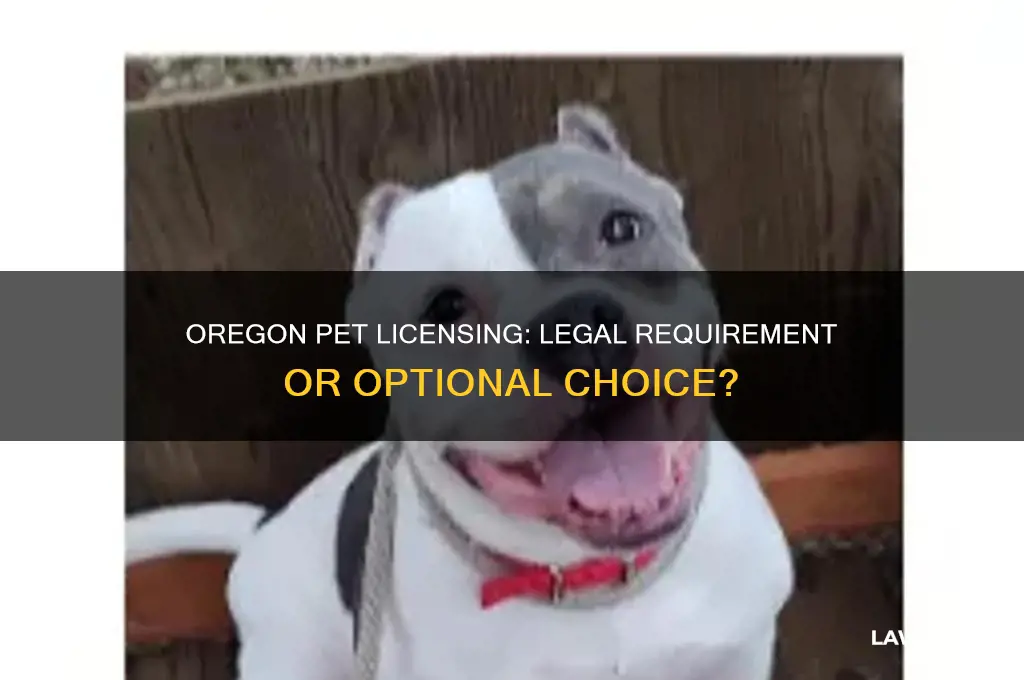 is it the law to lisence your pet in oregon