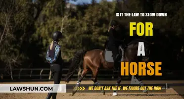 Legal Obligations: Must Drivers Slow Down for Horses on Roads?