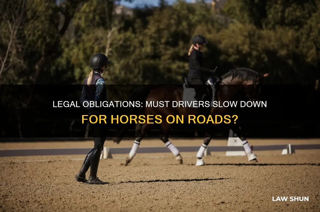 is it the law to slow down for a horse