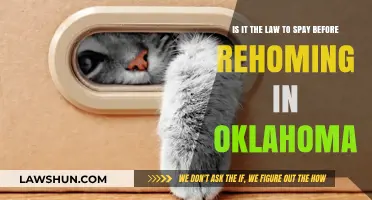 Oklahoma Rehoming Laws: Is Spaying Mandatory Before Adoption?
