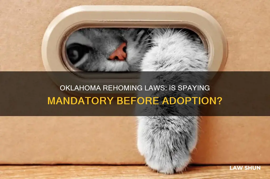 is it the law to spay before rehoming in oklahoma