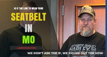 Missouri Seatbelt Laws: Are You Required to Buckle Up?