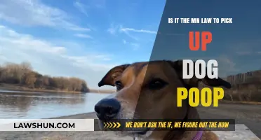 Minnesota Dog Poop Laws: Are You Required to Pick It Up?