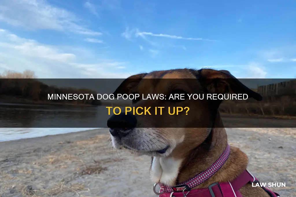 is it the mn law to pick up dog poop