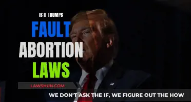 Trump's Legacy: Abortion Laws in America