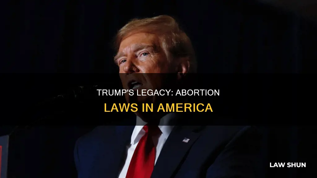 is it trumps fault abortion laws