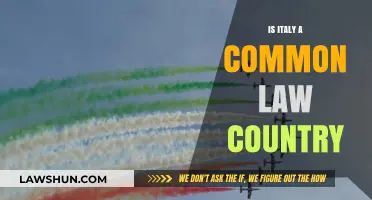 Italy's Legal System: Common or Civil Law?