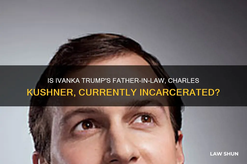 is ivanka trump