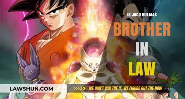 Who is Jaco to Bulma? Exploring the Brother-in-Law Theory