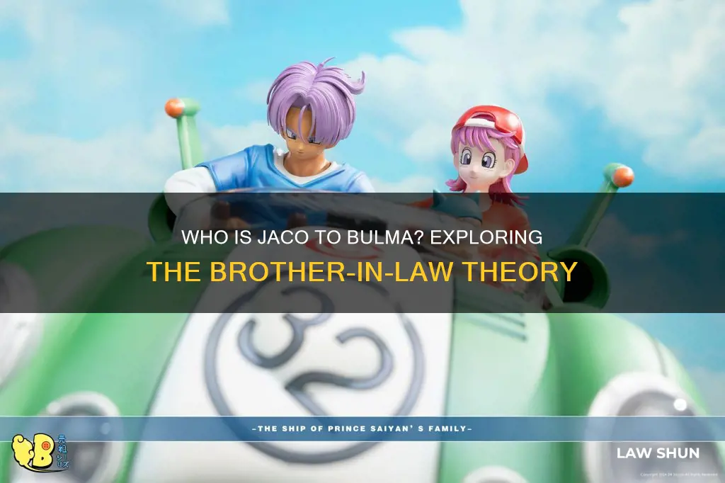 is jaco bulmas brother in law