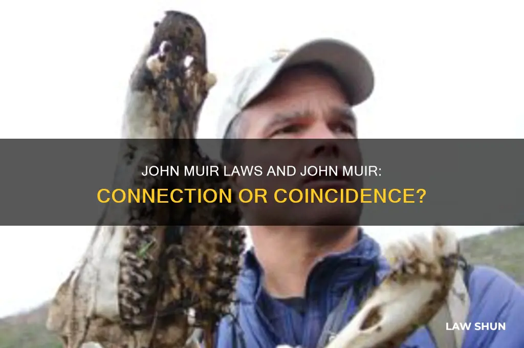 is john muir laws related to john muir