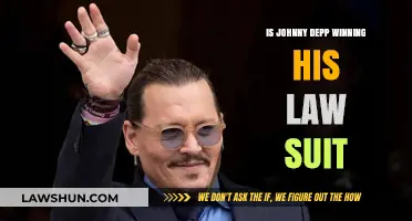 Johnny Depp's Legal Battle: Is He Winning the Lawsuit?