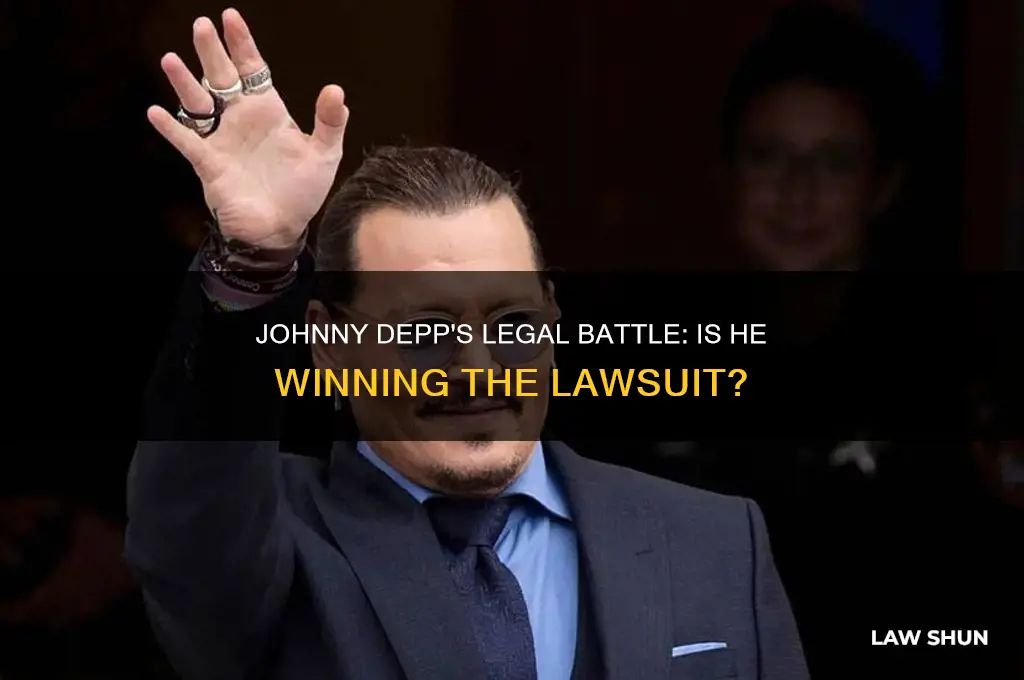 is johnny depp winning his law suit