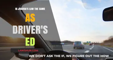 Joshua's Law vs. Driver's Ed: Understanding Georgia's Teen Driving Requirements