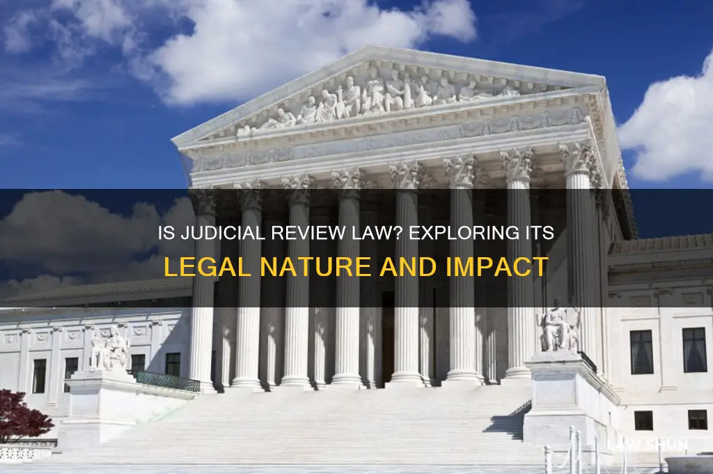 is judical review law