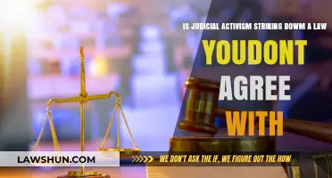 Judicial Activism: Striking Down Laws We Disagree With?